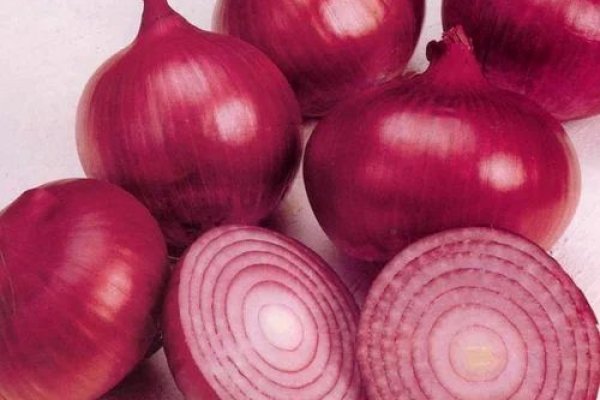 Кракен ссылка bazaonion com